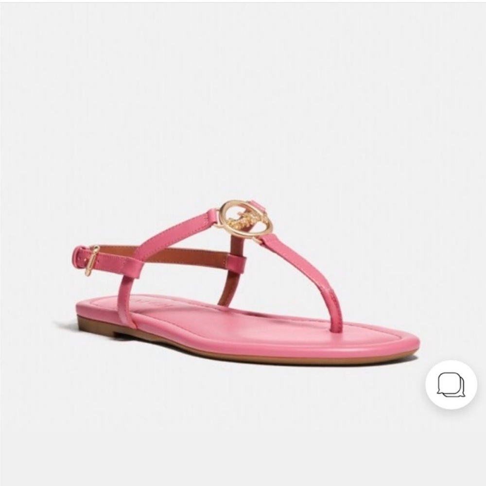Coach Pink Sandals with Gold Detail